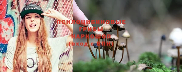 спайс Мегион