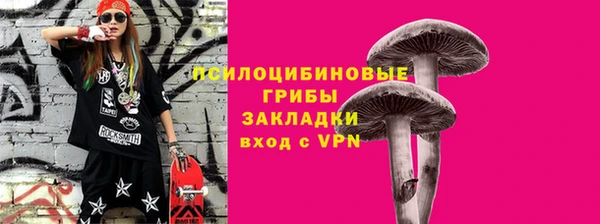 индика Кемь
