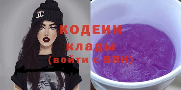 ГАЛЛЮЦИНОГЕННЫЕ ГРИБЫ Вяземский