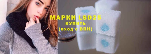 PSILOCYBIN Медвежьегорск