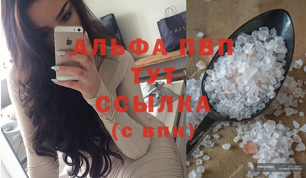 PSILOCYBIN Медвежьегорск